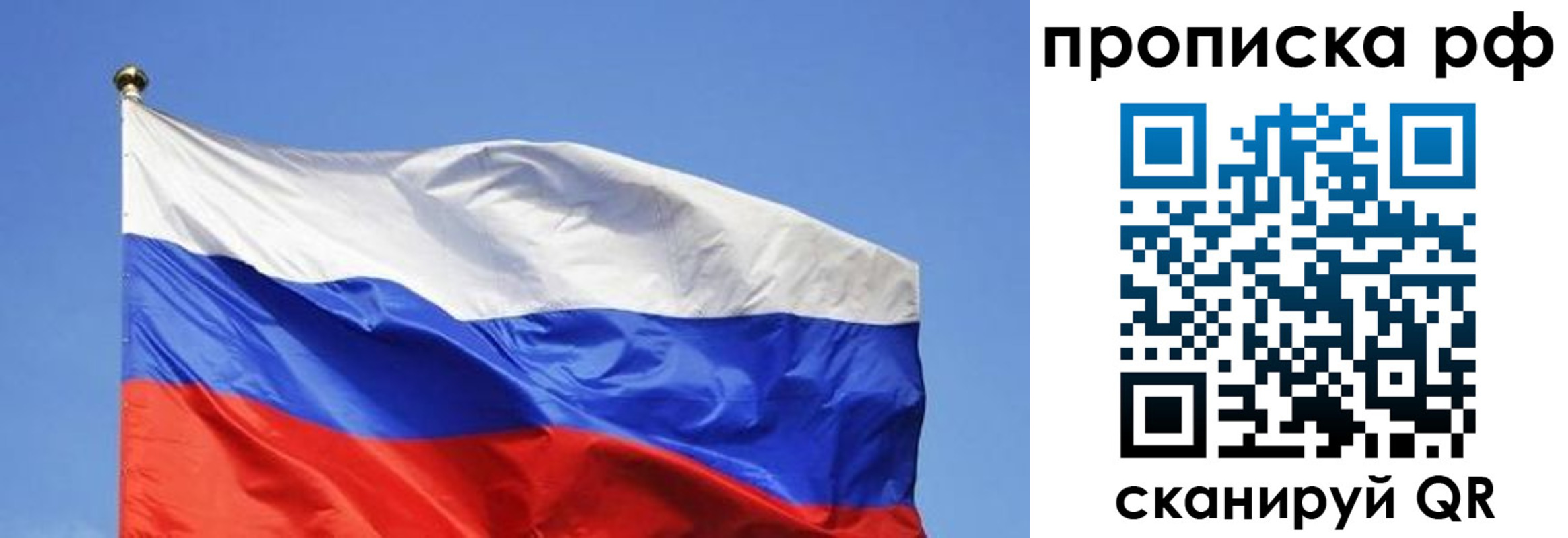 прописка поиск в Сальске